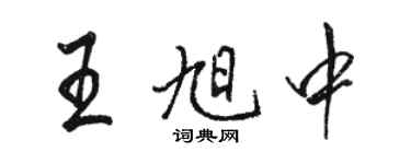 駱恆光王旭中行書個性簽名怎么寫