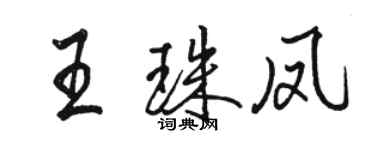 駱恆光王珠鳳行書個性簽名怎么寫