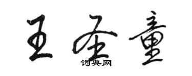 駱恆光王聖童行書個性簽名怎么寫