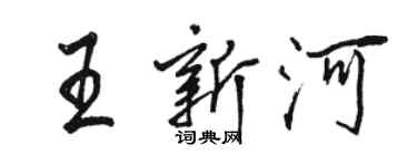 駱恆光王新河行書個性簽名怎么寫