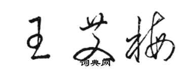 駱恆光王艾梅草書個性簽名怎么寫