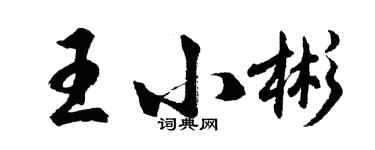 胡問遂王小彬行書個性簽名怎么寫