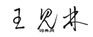 駱恆光王見林草書個性簽名怎么寫
