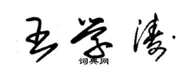 朱錫榮王學濤草書個性簽名怎么寫