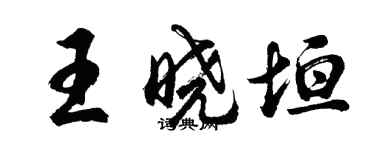 胡問遂王曉垣行書個性簽名怎么寫