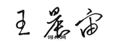 駱恆光王晨宙草書個性簽名怎么寫