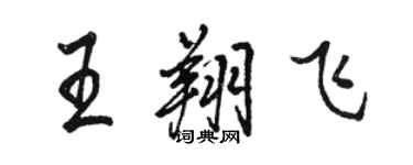 駱恆光王翔飛行書個性簽名怎么寫