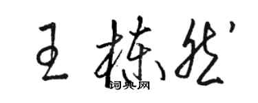 駱恆光王棟然草書個性簽名怎么寫