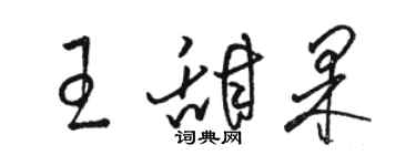 駱恆光王甜果草書個性簽名怎么寫