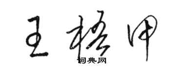 駱恆光王梧甲草書個性簽名怎么寫