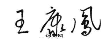 駱恆光王康鳳草書個性簽名怎么寫