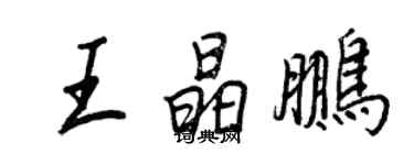 王正良王晶鵬行書個性簽名怎么寫