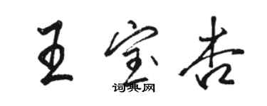 駱恆光王寶杏行書個性簽名怎么寫