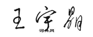 駱恆光王宇晶草書個性簽名怎么寫