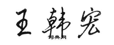 駱恆光王韓宏行書個性簽名怎么寫