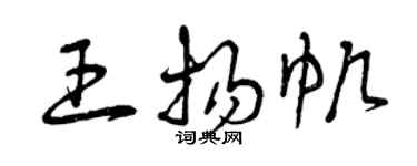 曾慶福王揚帆草書個性簽名怎么寫