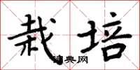 周炳元栽培楷書怎么寫