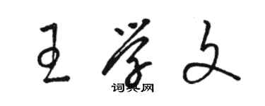 駱恆光王學文草書個性簽名怎么寫