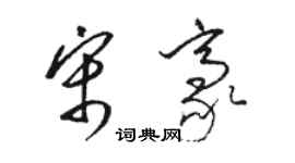 駱恆光宋豪草書個性簽名怎么寫