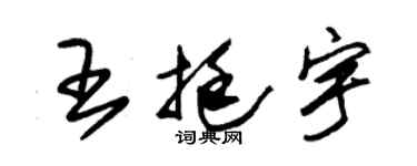 朱錫榮王挺宇草書個性簽名怎么寫