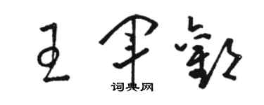 駱恆光王軍歡草書個性簽名怎么寫