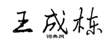 曾慶福王成棟行書個性簽名怎么寫