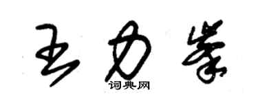 朱錫榮王力峰草書個性簽名怎么寫