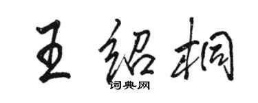 駱恆光王紹桐行書個性簽名怎么寫