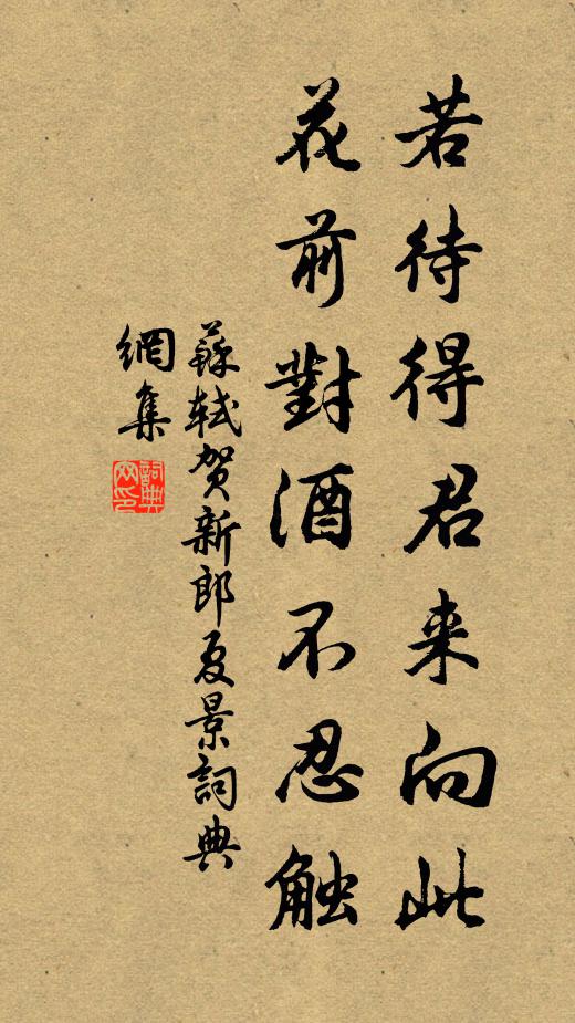 蘇軾若待得君來向此,花前對酒不忍觸。書法作品欣賞