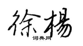 王正良徐楊行書個性簽名怎么寫
