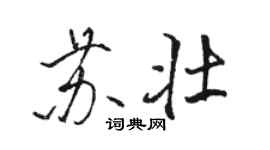 駱恆光蘇壯行書個性簽名怎么寫