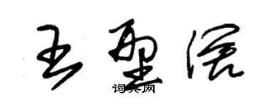 朱錫榮王型闊草書個性簽名怎么寫