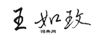 駱恆光王如玫行書個性簽名怎么寫