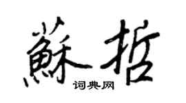 王正良蘇哲行書個性簽名怎么寫