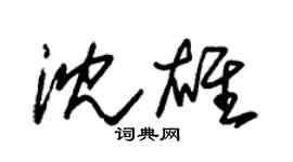 朱錫榮沈雄草書個性簽名怎么寫