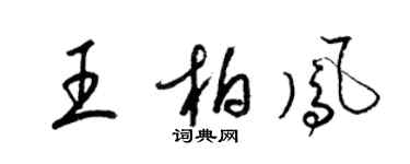梁錦英王柏鳳草書個性簽名怎么寫