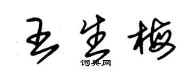 朱錫榮王生梅草書個性簽名怎么寫