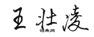駱恆光王壯凌行書個性簽名怎么寫