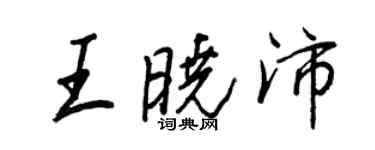 王正良王曉沛行書個性簽名怎么寫