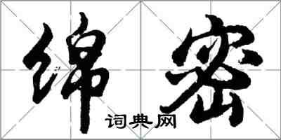 胡問遂綿密行書怎么寫