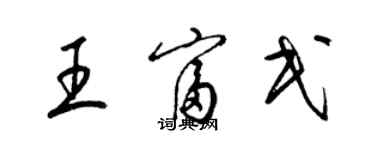 梁錦英王富民草書個性簽名怎么寫