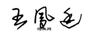 朱錫榮王鳳廷草書個性簽名怎么寫