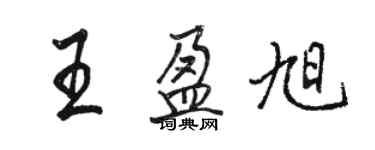 駱恆光王盈旭行書個性簽名怎么寫
