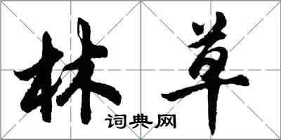 胡問遂林草行書怎么寫