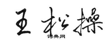 駱恆光王松操行書個性簽名怎么寫