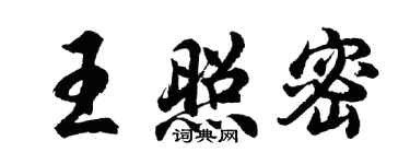 胡問遂王照密行書個性簽名怎么寫