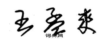 朱錫榮王孟爽草書個性簽名怎么寫