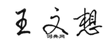 駱恆光王文想行書個性簽名怎么寫