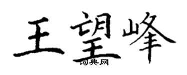 丁謙王望峰楷書個性簽名怎么寫