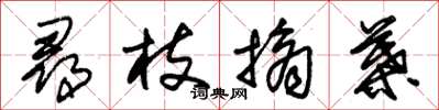 朱錫榮尋枝摘葉草書怎么寫